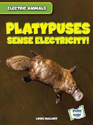 cover image of Platypuses Sense Electricity!